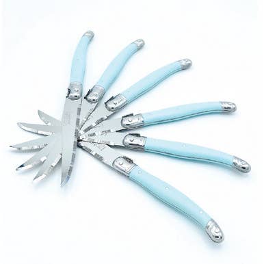 Steak Knives, Turquoise (Set of 6, Wooden Block) - Jean Dubost Laguiole