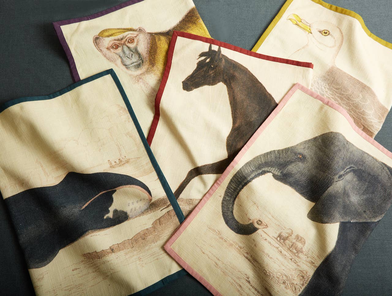 Seagull Tea Towel - Siren Song (20in x 28in)