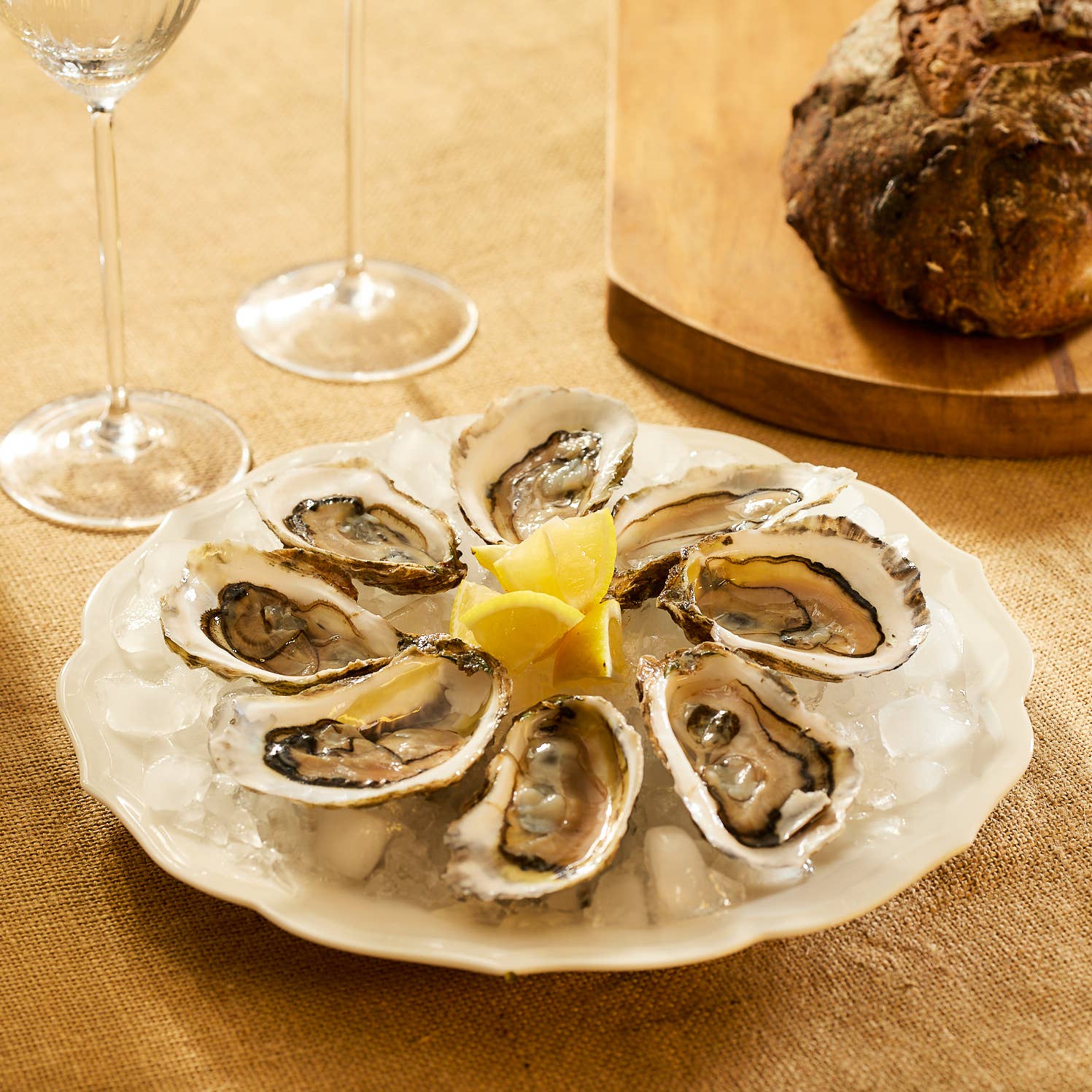 Stella Scalloped Dinner Plate - Caskata (10.75in dia)