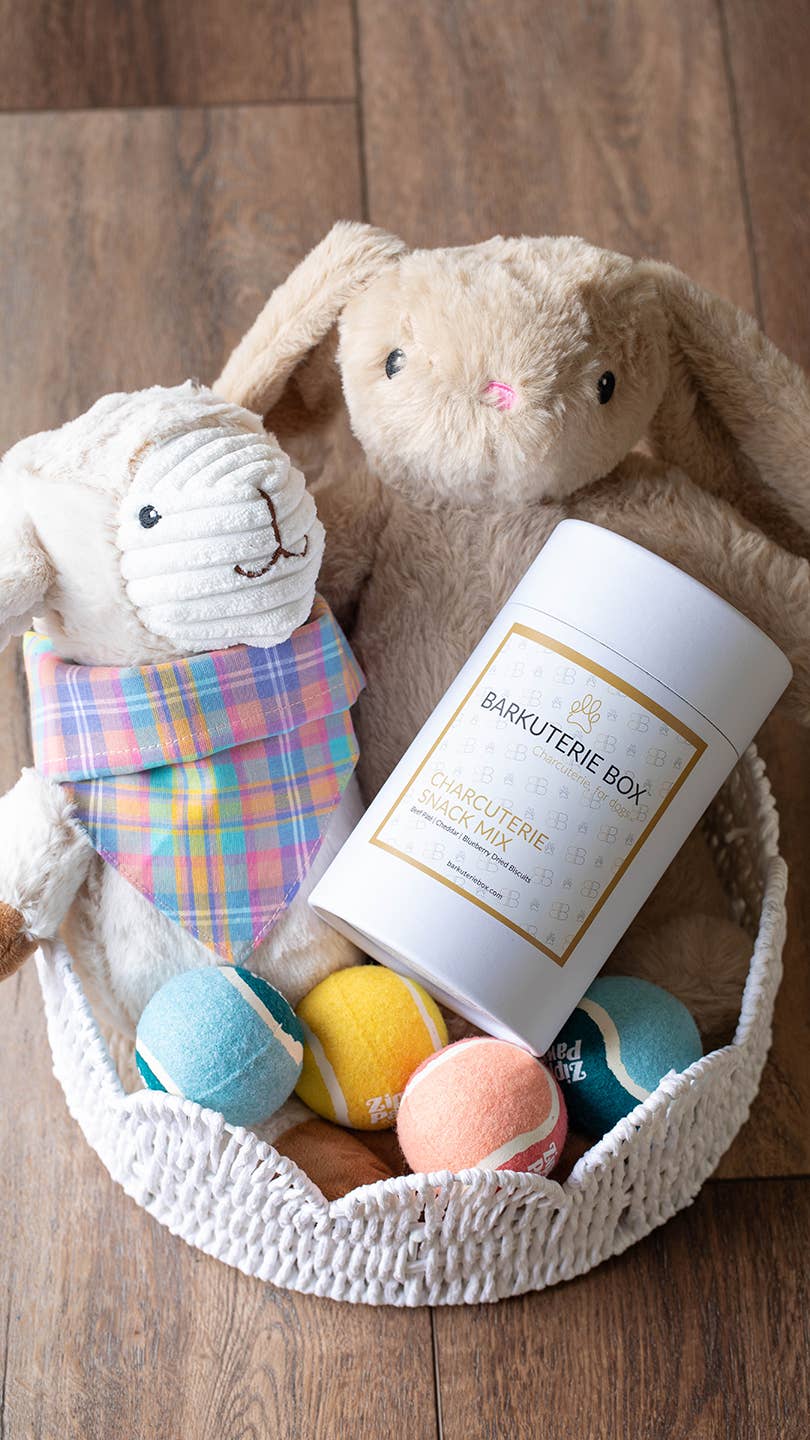 Barkcuterie Dog Treat Charcuterie Snack Mix (16oz / 450g)