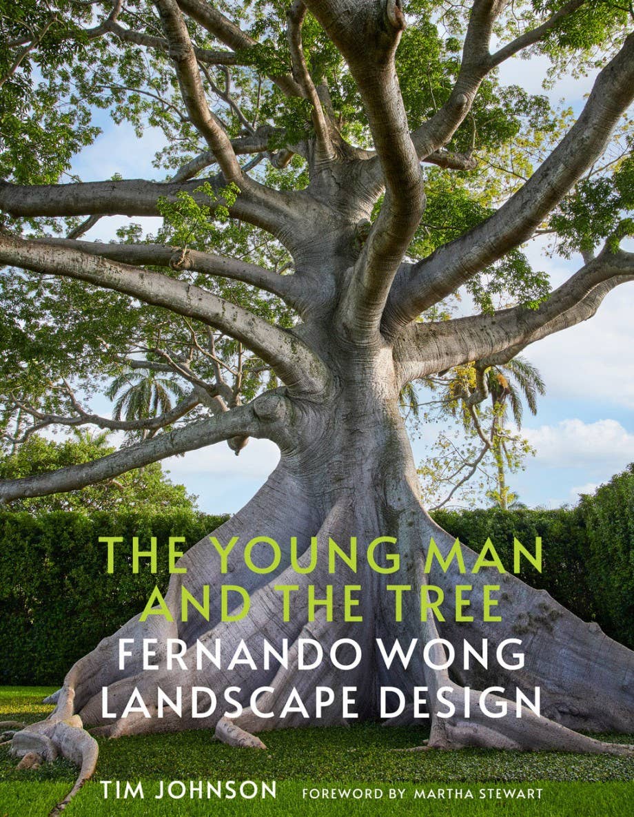 The Young Man and the Tree: Fernando Wong Landscape Design - Vendome