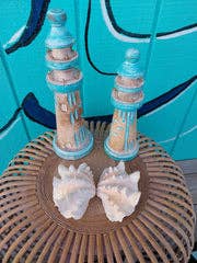 Squamosa Tridacna Clam Shell Pair- Fluted Ruffled Seashell: 8-9"
