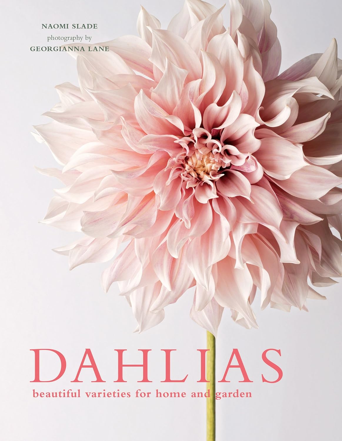 Dahlias: Beautiful Varieties for Home & Garden by Naomi Slade - Gibbs Smith