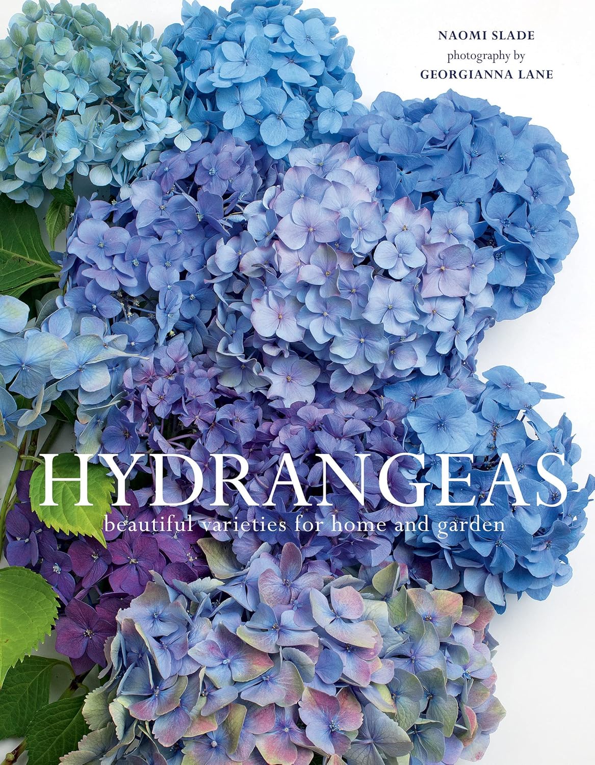 Hydrangeas: Beautiful Varieties for Home & Garden by Naomi Slade - Gibbs Smith