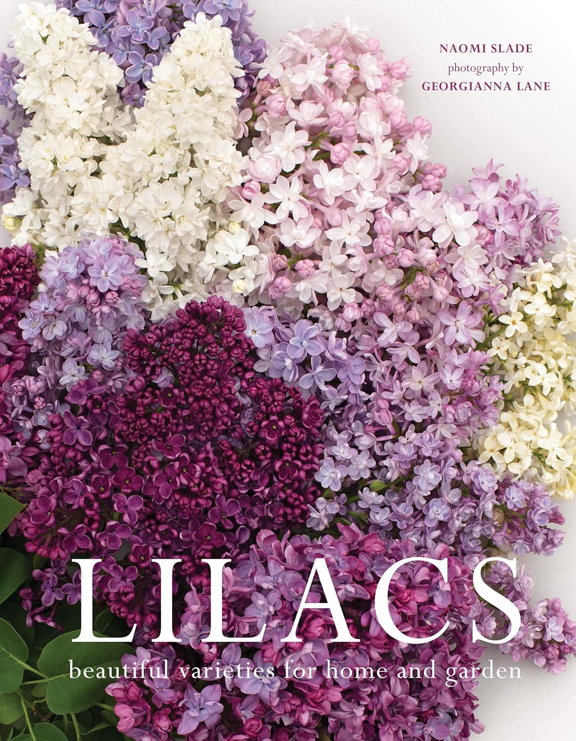 Lilacs: Beautiful Varieties for Home & Garden by Naomi Slade - Gibbs Smith