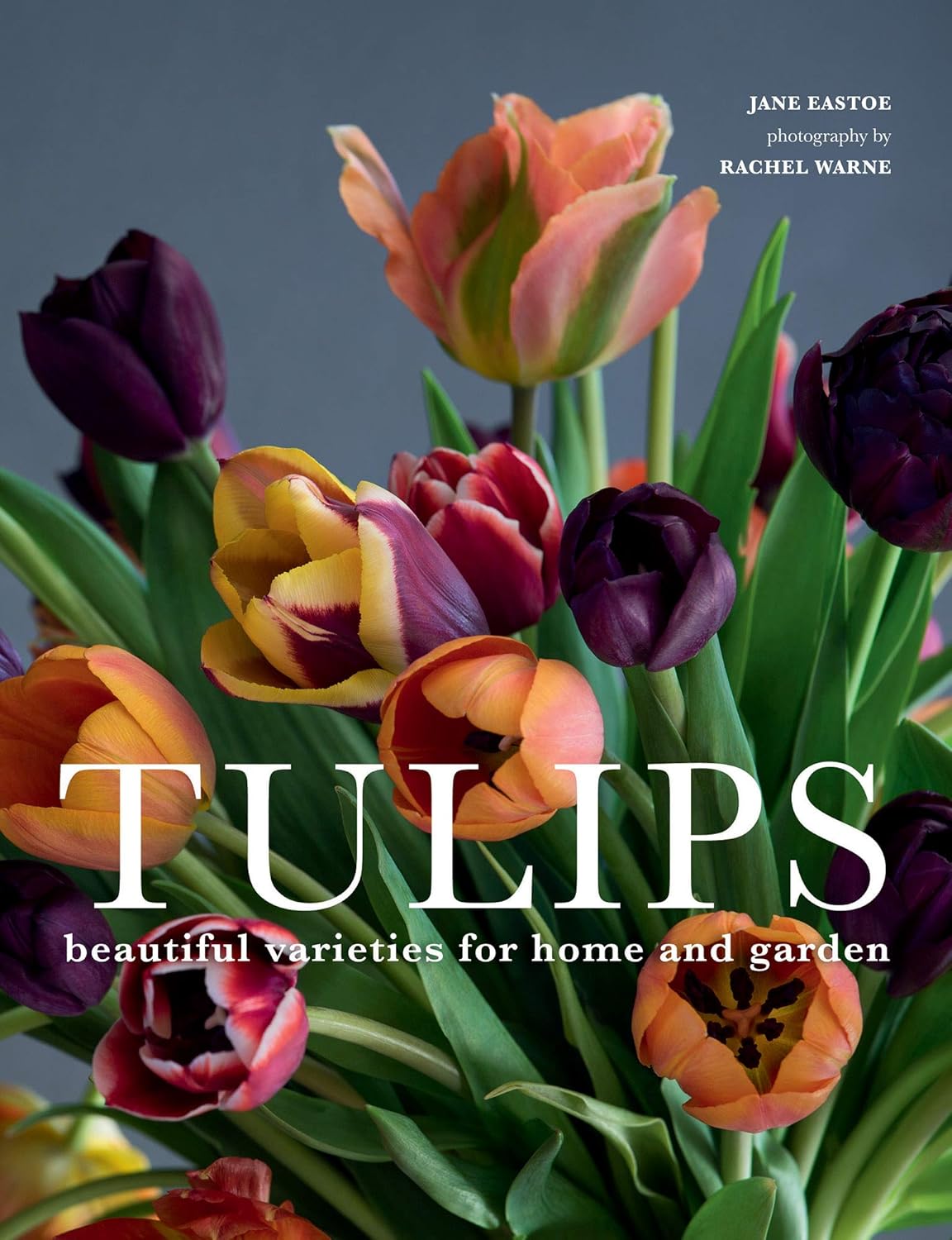 Tulips: Beautiful Varieties for Home & Garden by Jane Eastoe - Gibbs Smith