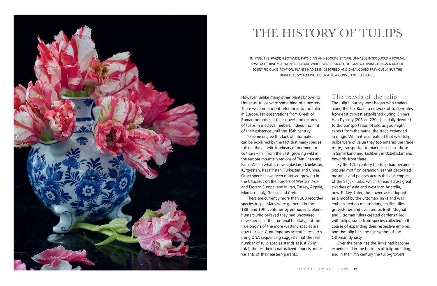 Tulips: Beautiful Varieties for Home & Garden by Jane Eastoe - Gibbs Smith