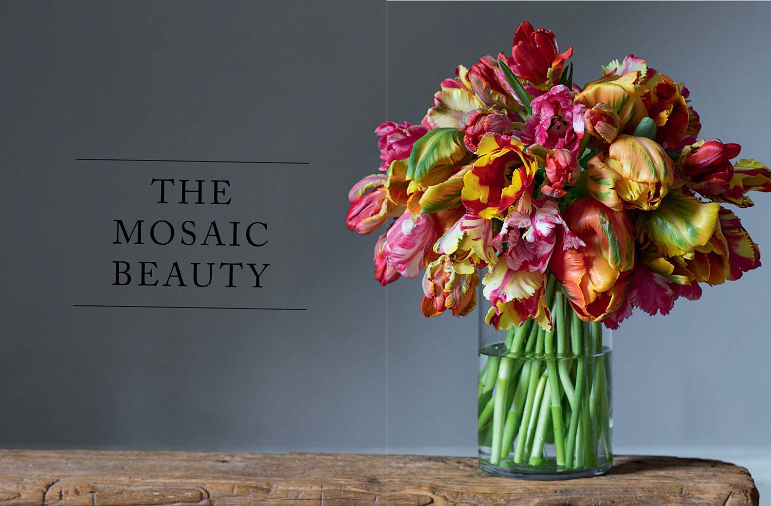 Tulips: Beautiful Varieties for Home & Garden by Jane Eastoe - Gibbs Smith