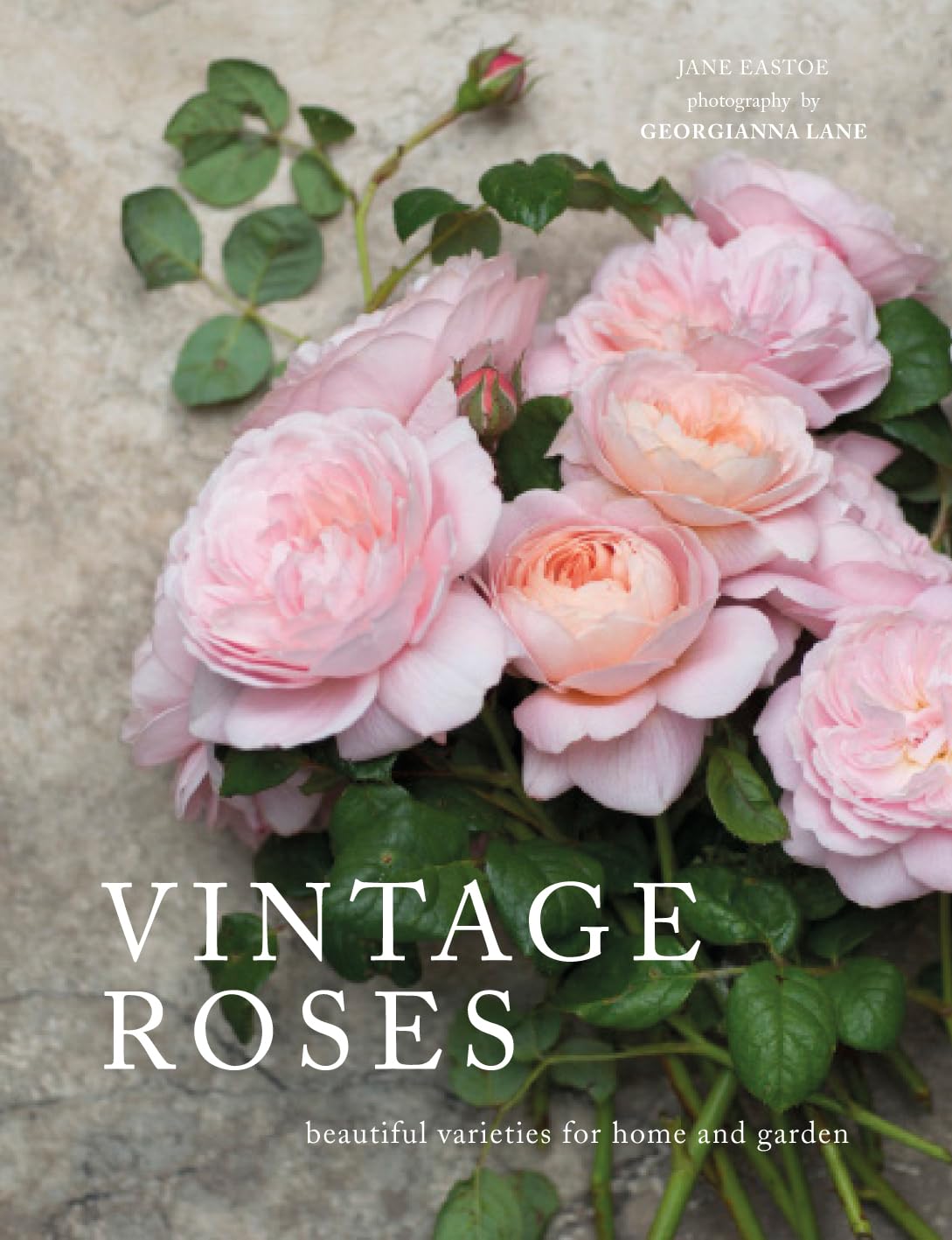 Vintage Roses: Beautiful Varieties for Home & Garden by Jane Eastoe - Gibbs Smith