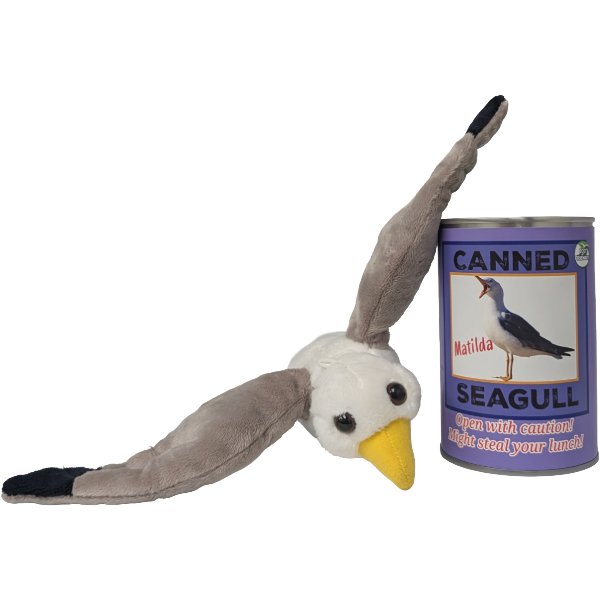 Matilda the Canned Seagull, Foil Lid
