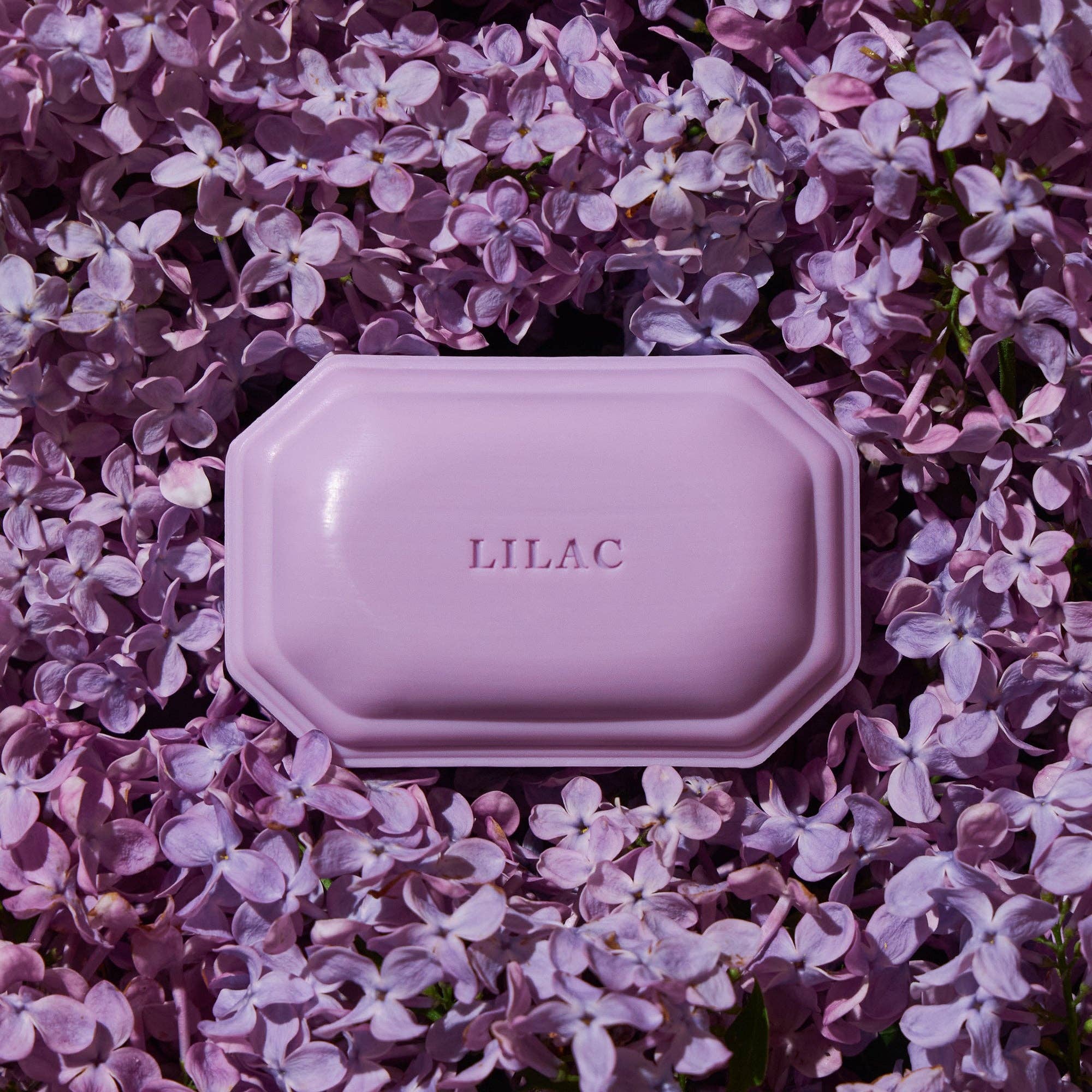 Lilac Bar Soap - Caswell-Massey