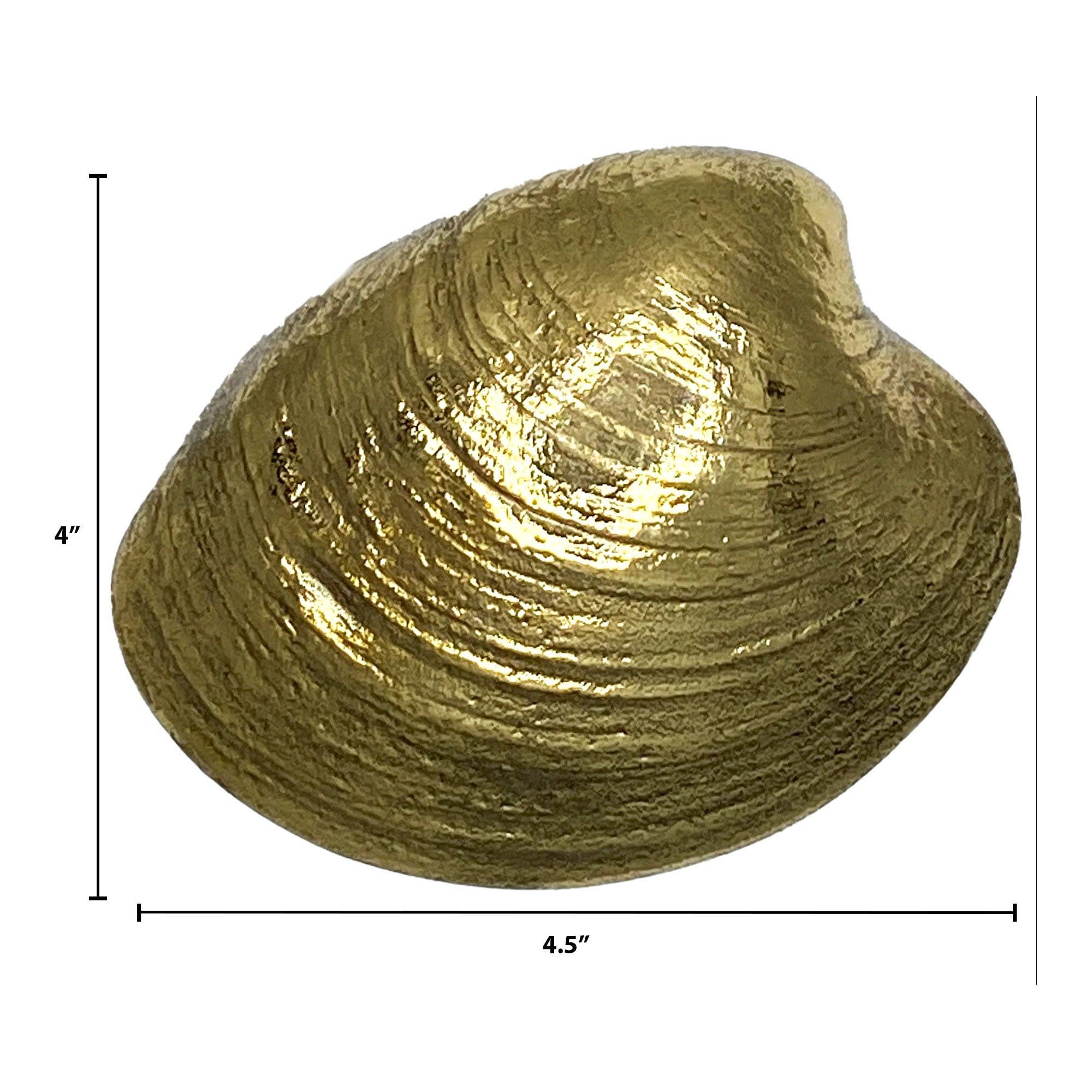 Quahog Door Knocker - Michael Healy Designs