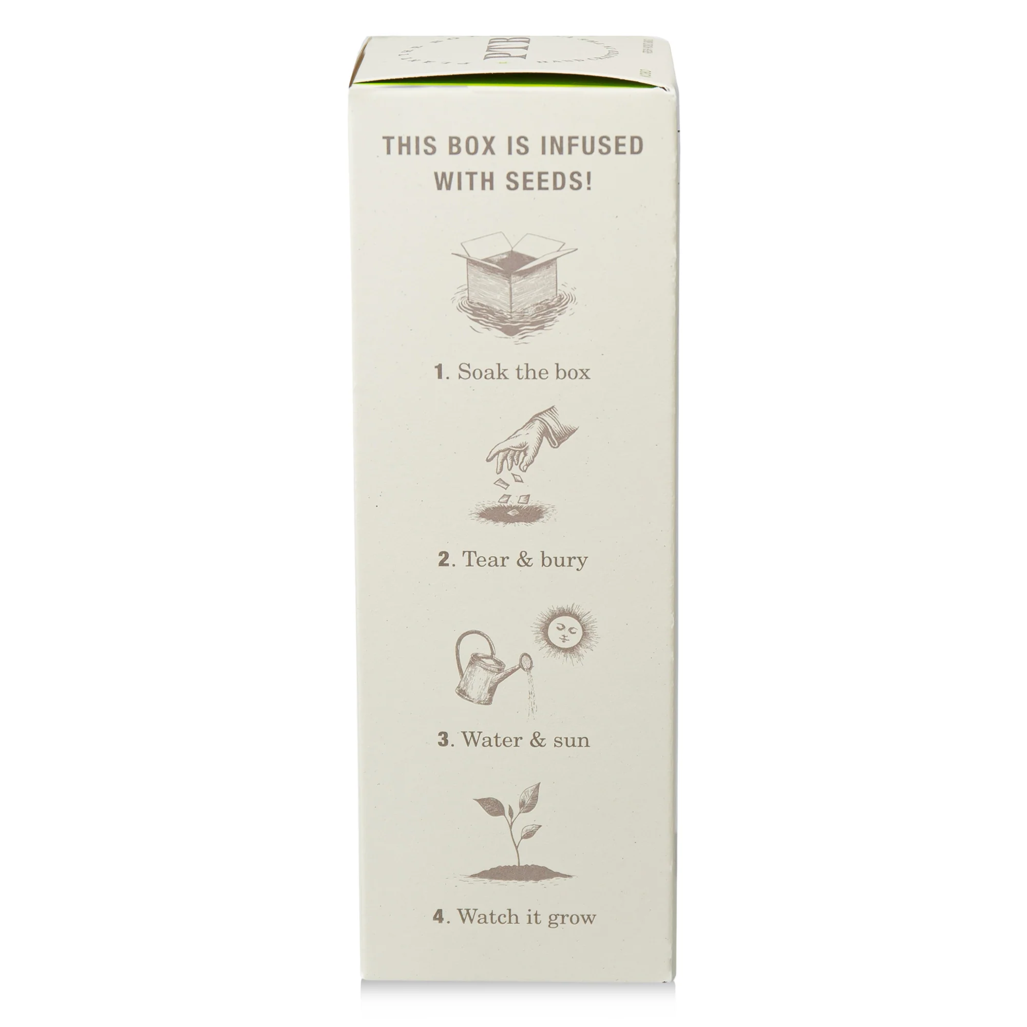 Fresh Picked Basil Diffuser, Plant The Box Collection - KOBO Candles (4oz)