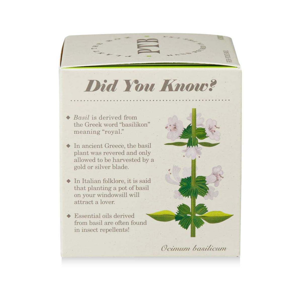 Fresh Picked Basil Candle, Plant The Box Collection - KOBO Candles (9oz)