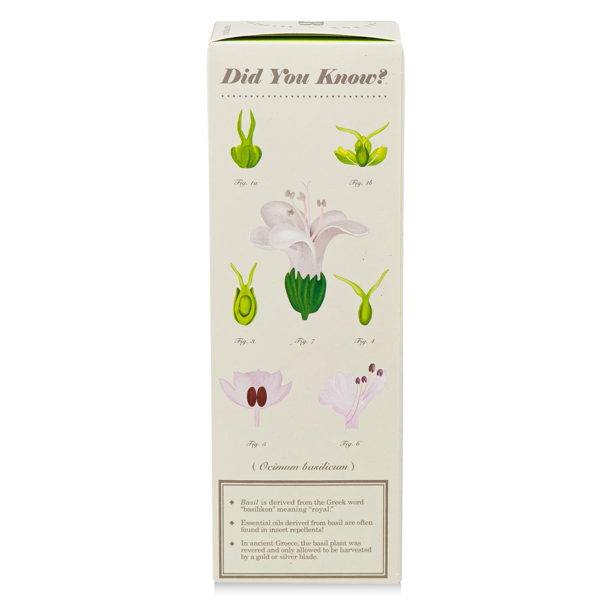 Fresh Picked Basil Diffuser, Plant The Box Collection - KOBO Candles (4oz)