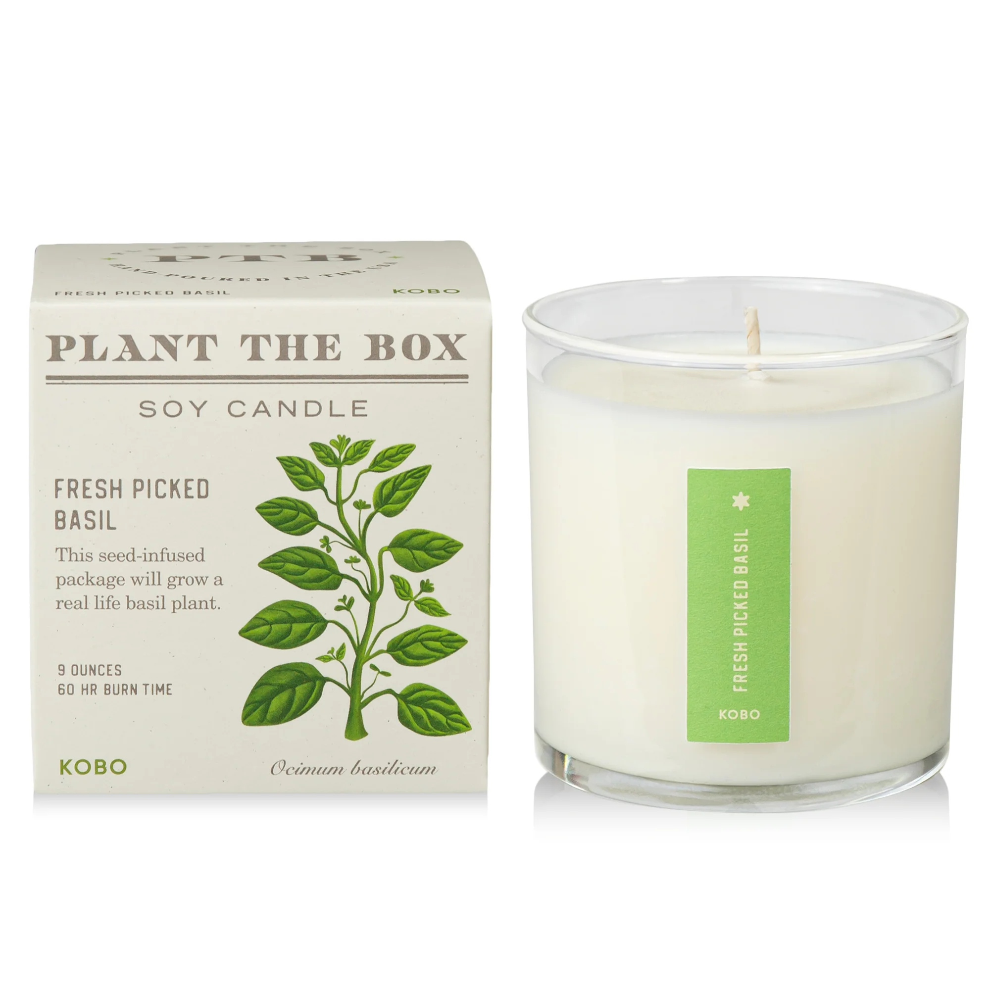Fresh Picked Basil Candle, Plant The Box Collection - KOBO Candles (9oz)