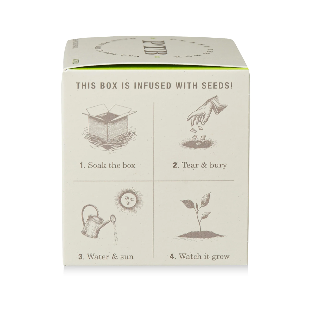 Fresh Picked Basil Candle, Plant The Box Collection - KOBO Candles (9oz)