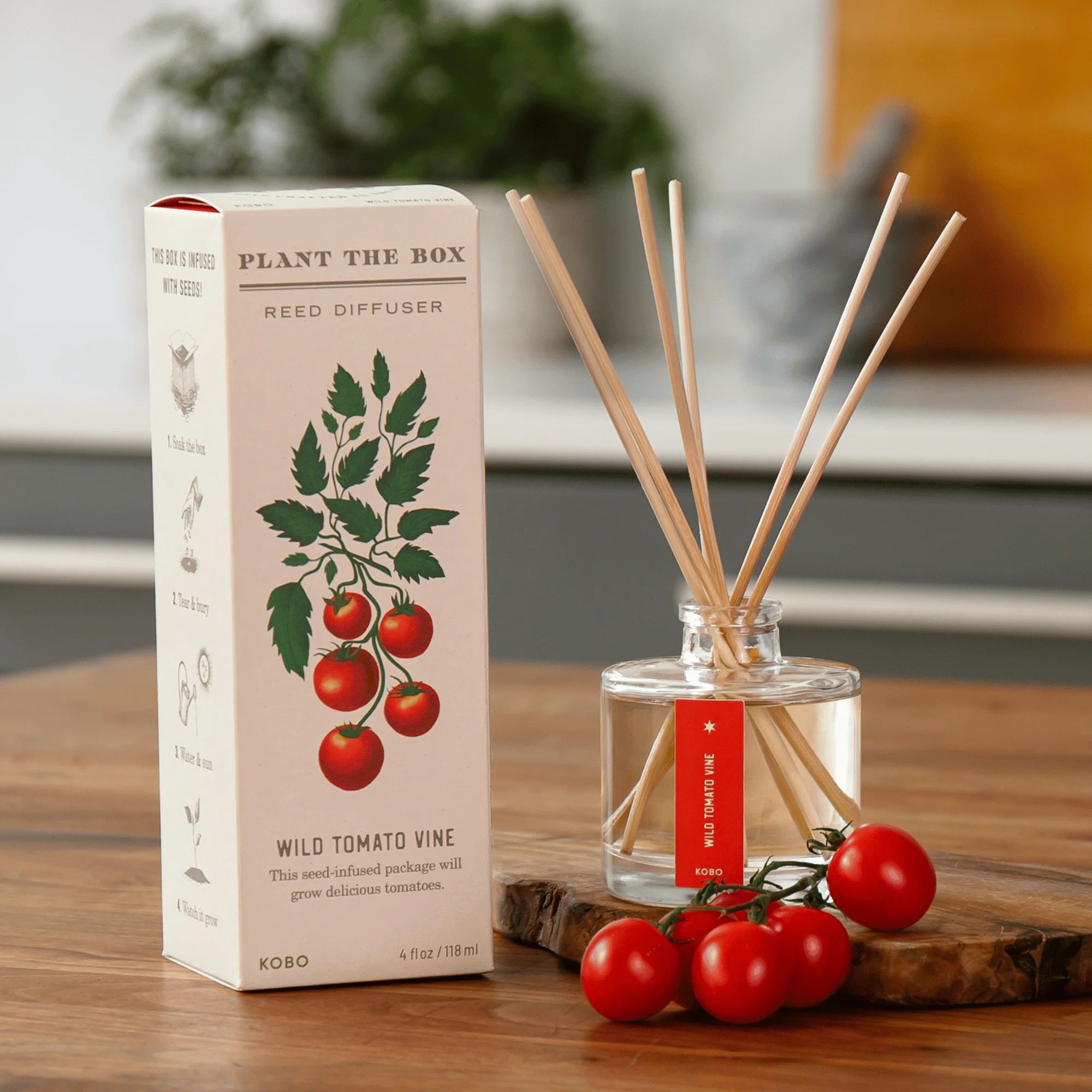 Wild Tomato Vine Diffuser, Plant The Box Collection - KOBO Candles (4oz)