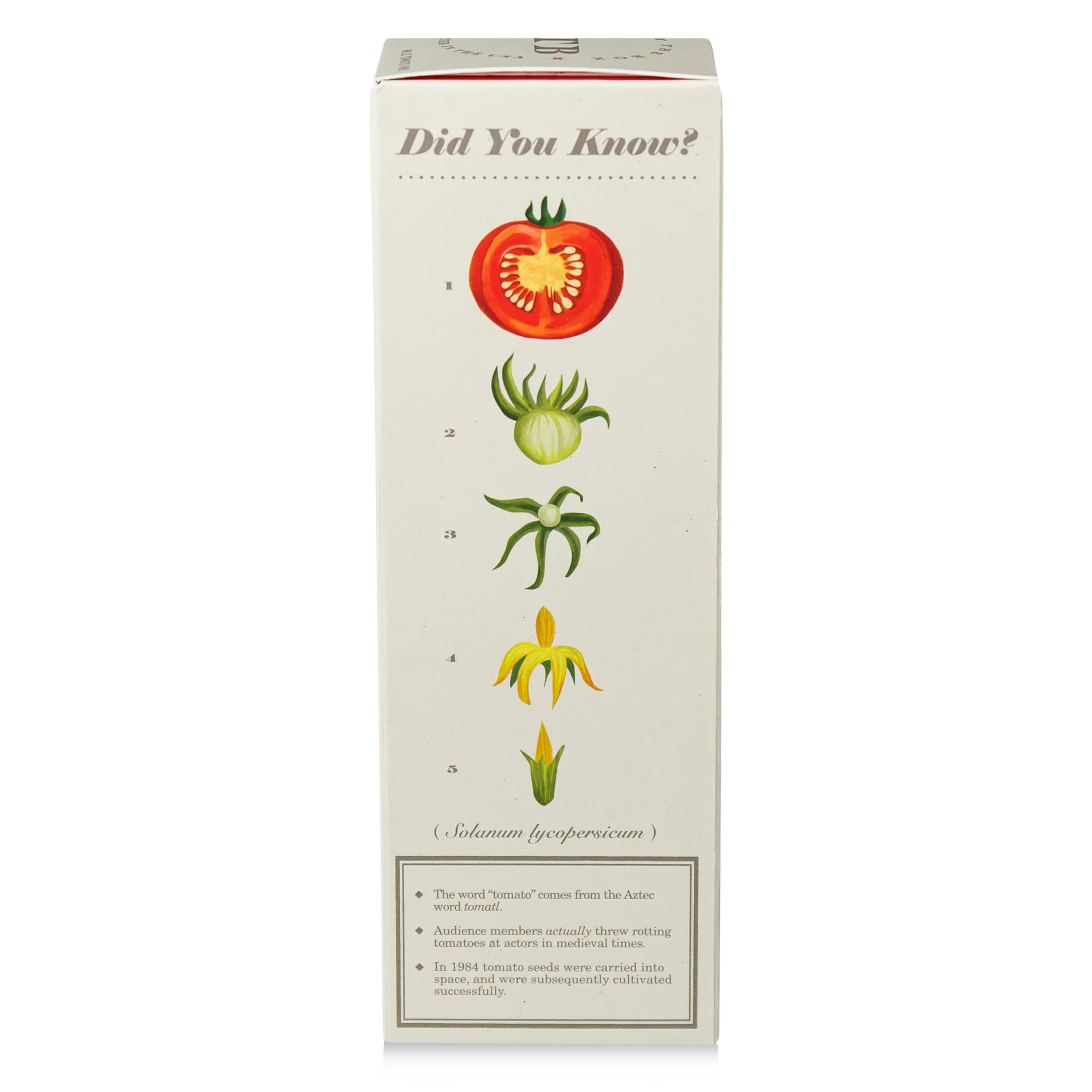 Wild Tomato Vine Diffuser, Plant The Box Collection - KOBO Candles (4oz)