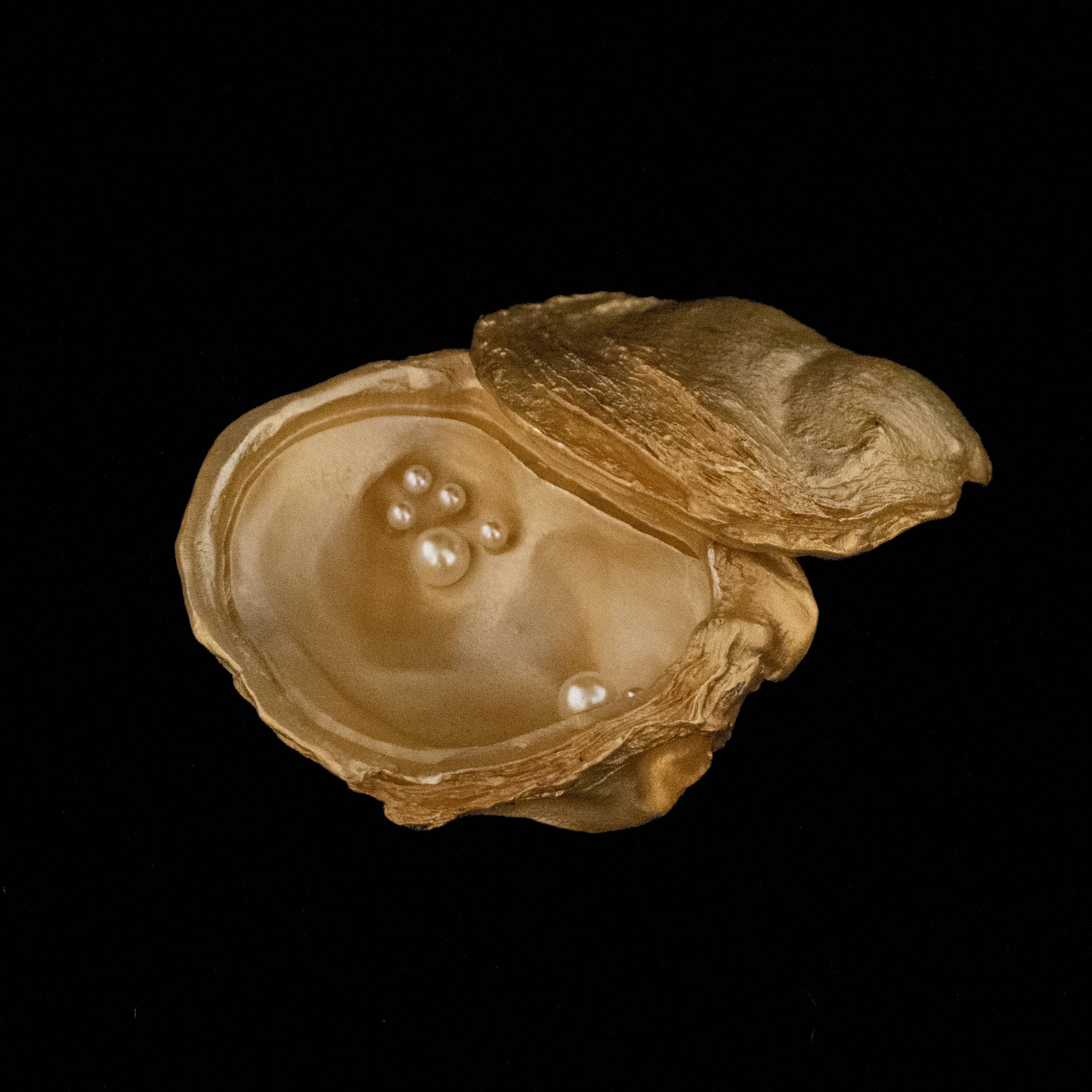 Oyster Box with Pearls - Michael Michaud