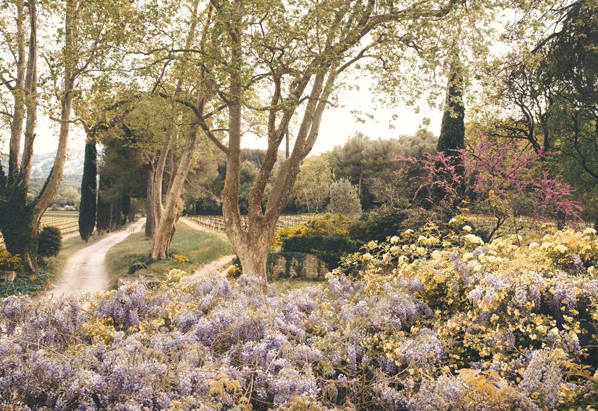 American in Provence by Jamie Beck - Simon & Schuster