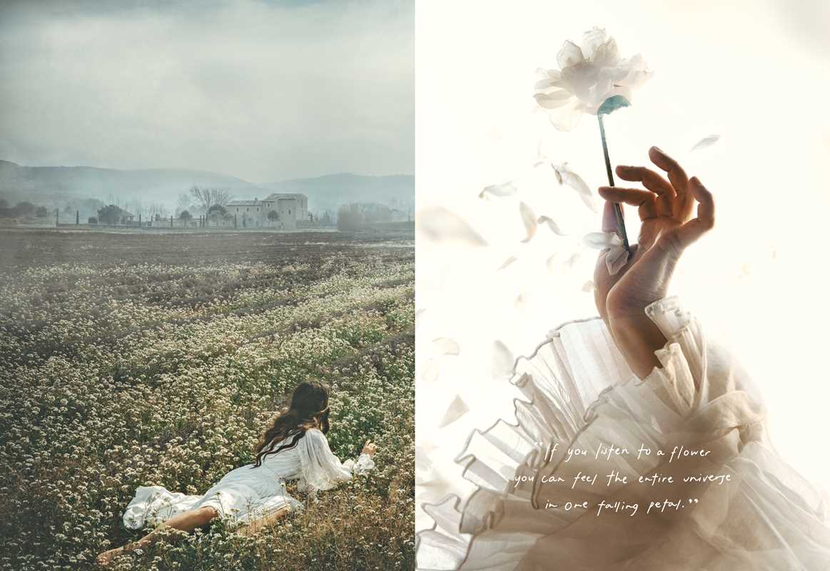 American in Provence by Jamie Beck - Simon & Schuster