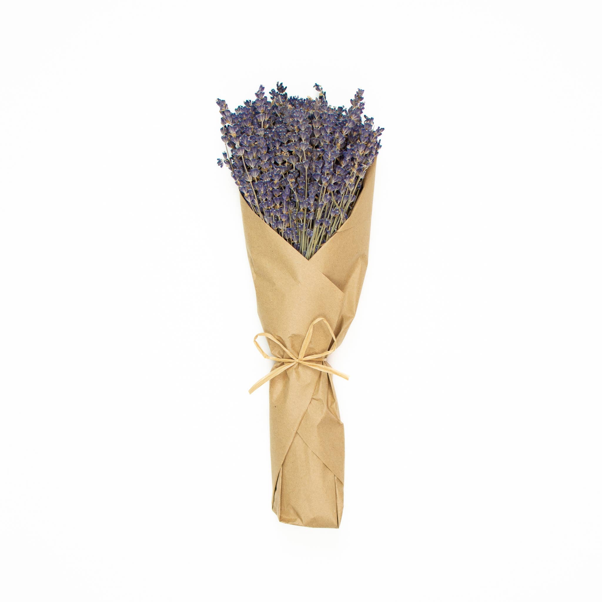 French Lavender, Dried on Stem (6oz / 170g)