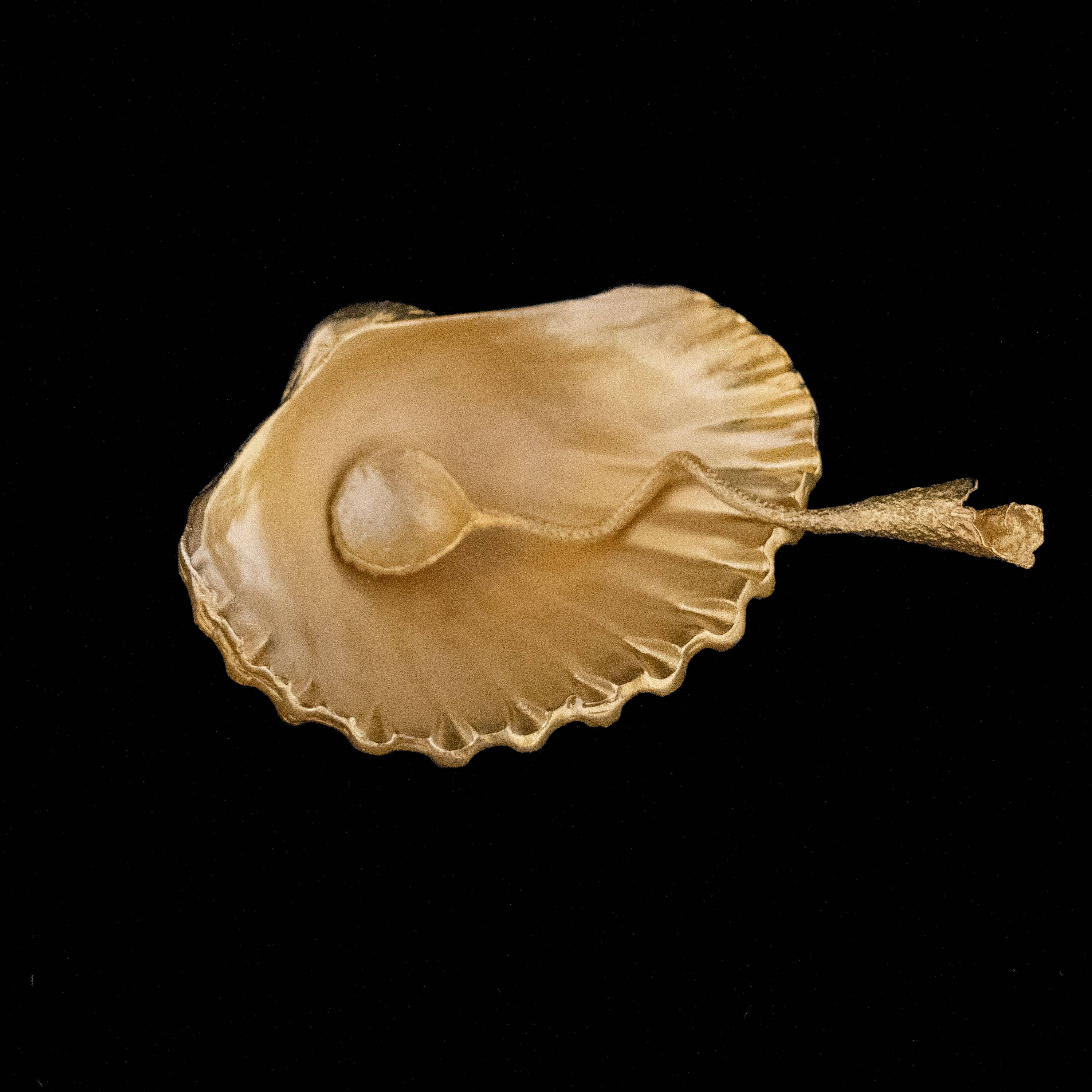 Sea Shell Salt Dish - Michael Michaud
