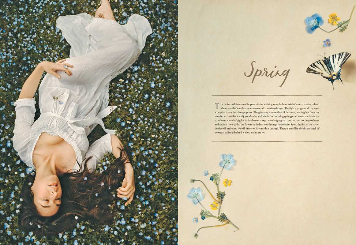 American in Provence by Jamie Beck - Simon & Schuster