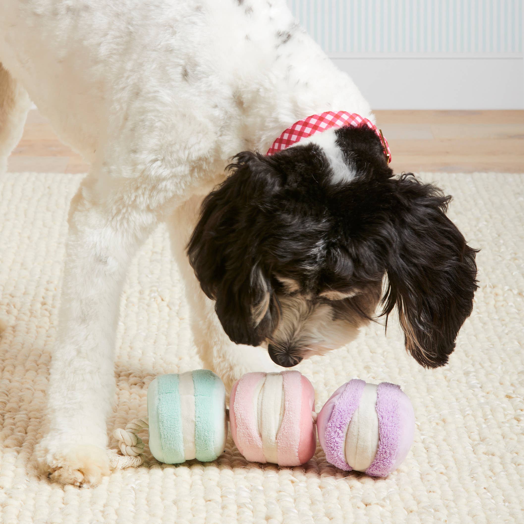 Macarons Interactive Snuffle Dog Toy - The Foggy Dog