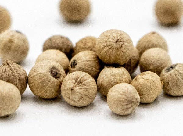 White Peppercorn Berries from Sarawak - Compagnie Française des Poivres et Epices