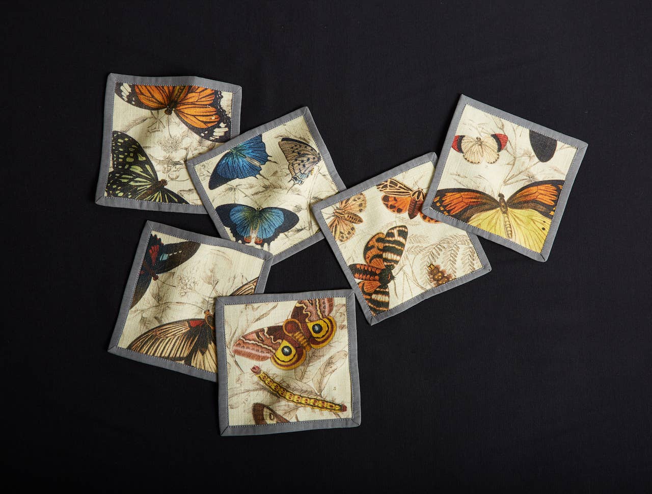 Specimen Cocktail Napkins, Set of 6 - Siren Song (6in sq)