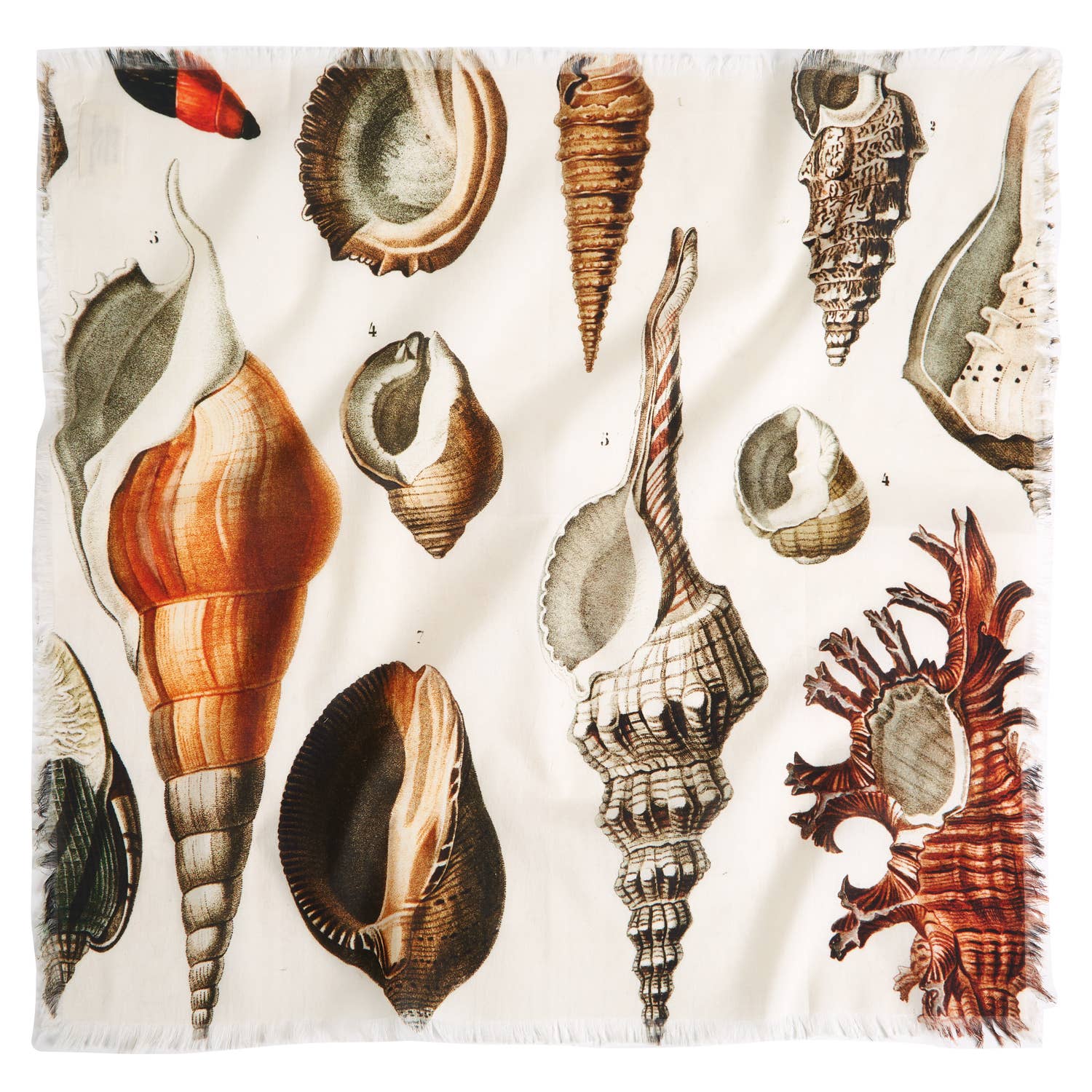 Seashells Voile Bandana - Siren Song (20in sq)