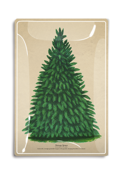 Vintage Norway Spruce Decoupage Tray - Ben's Garden (4in x 6in)