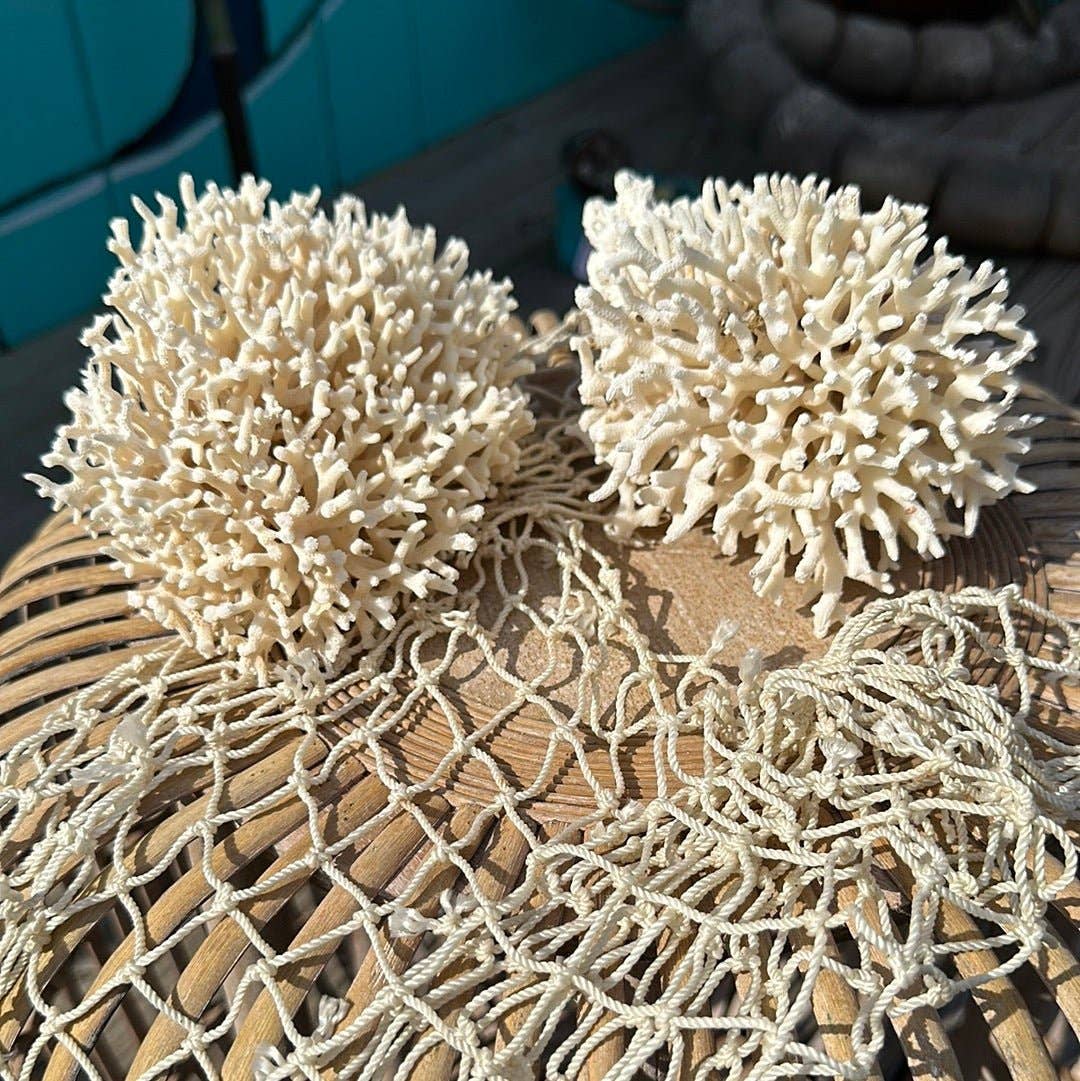 Vintage Birdsnest Coral Cluster- Coastal Home Decor: 6-7"