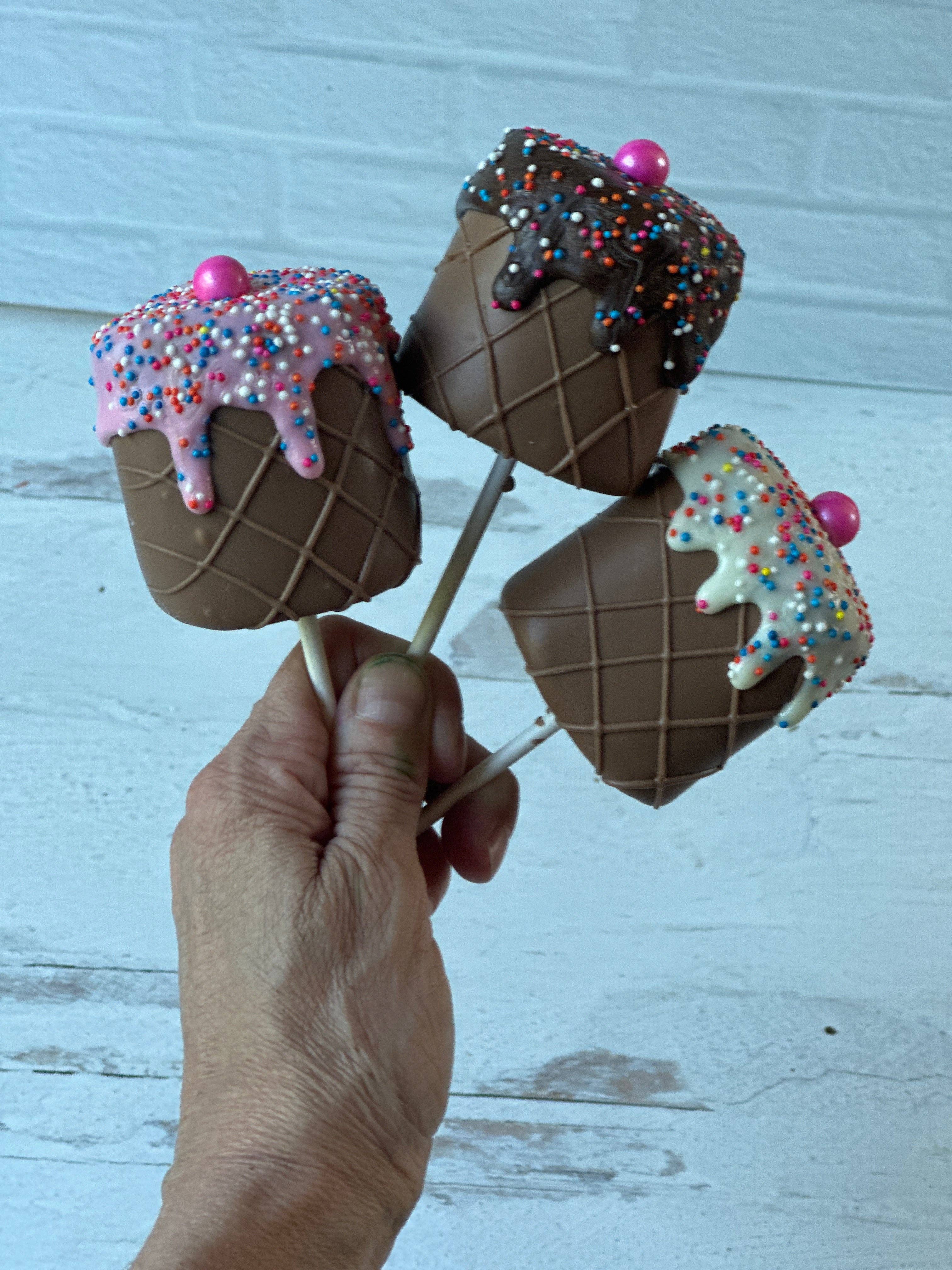 Jumbo Chocolate Dipped Marshmallow Ice Cream
