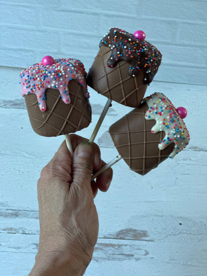 Jumbo Chocolate Dipped Marshmallow Ice Cream