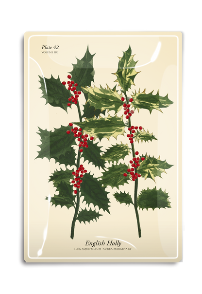 English Holly Stems Decoupage Glass Tray - Ben's Garden (4in x 6in)