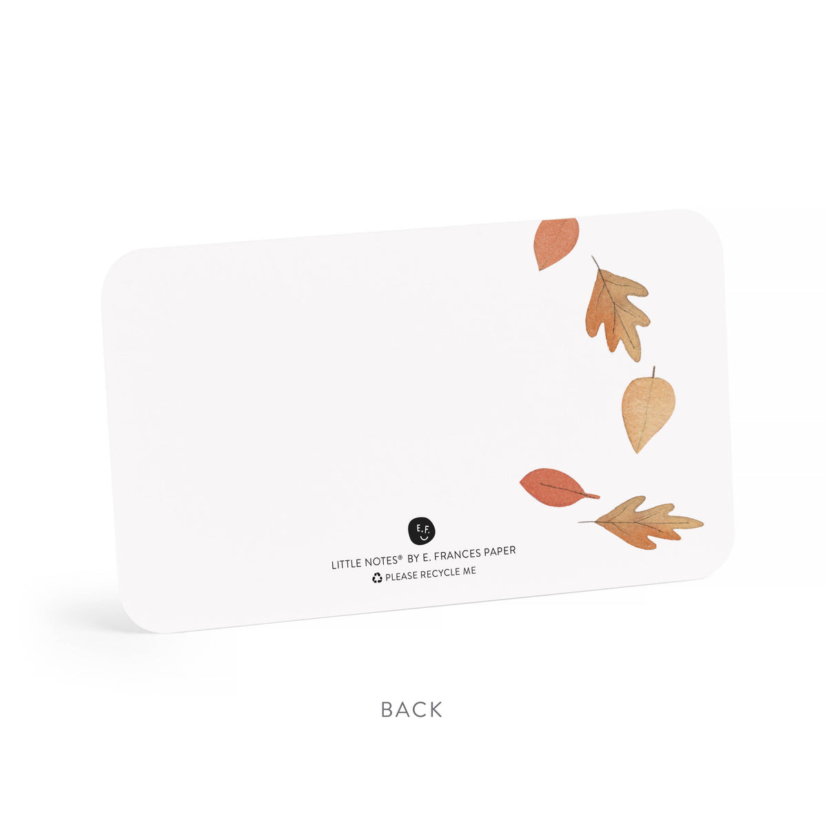 Falling Leaves Little Notes - E. Frances Paper (85 cards, 3.5in x 2.5in)