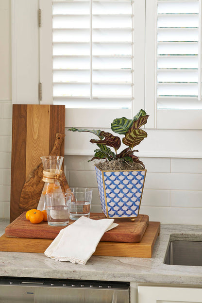 Scales Enameled Square Cachepot Planter, Blue (6-in)