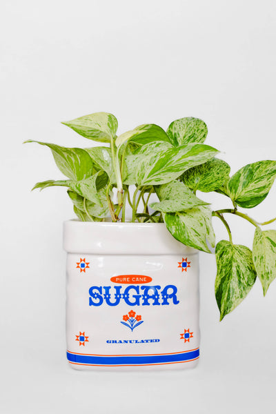 Ceramic Planter, Sugar Jar