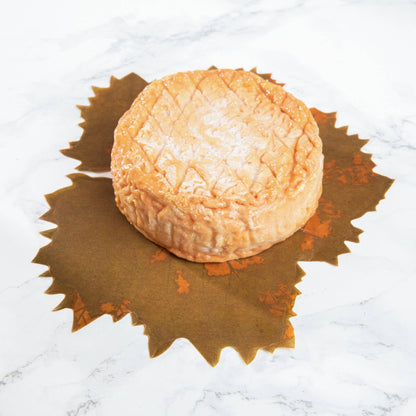 Cheese Board Liners - Formaticum (7in x 7in)