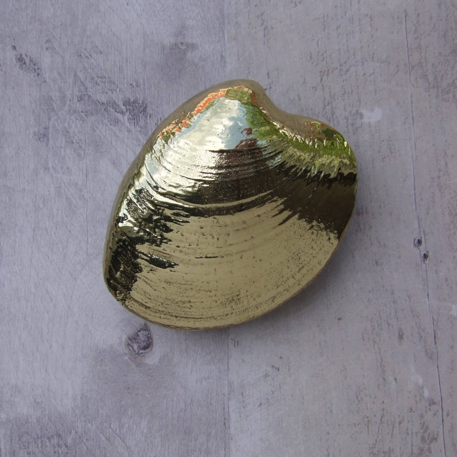 Quahog Door Knocker - Michael Healy Designs