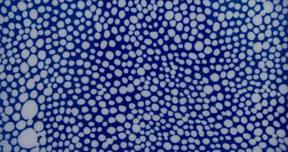 Shagreen Enameled Trinket Tray