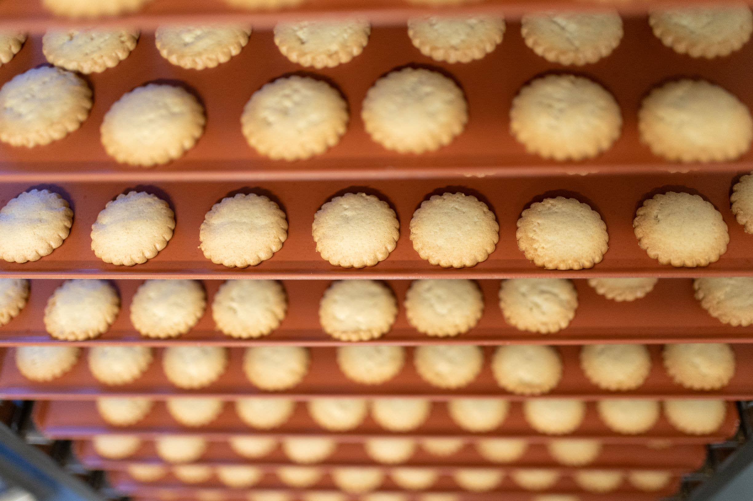 Aperitif Biscuits, Goat Cheese & Honey - Okina (2.8oz / 80g)