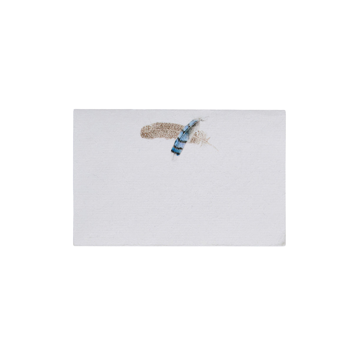 Forest Walk Place Cards, Assorted (Set of 12) - Juliska