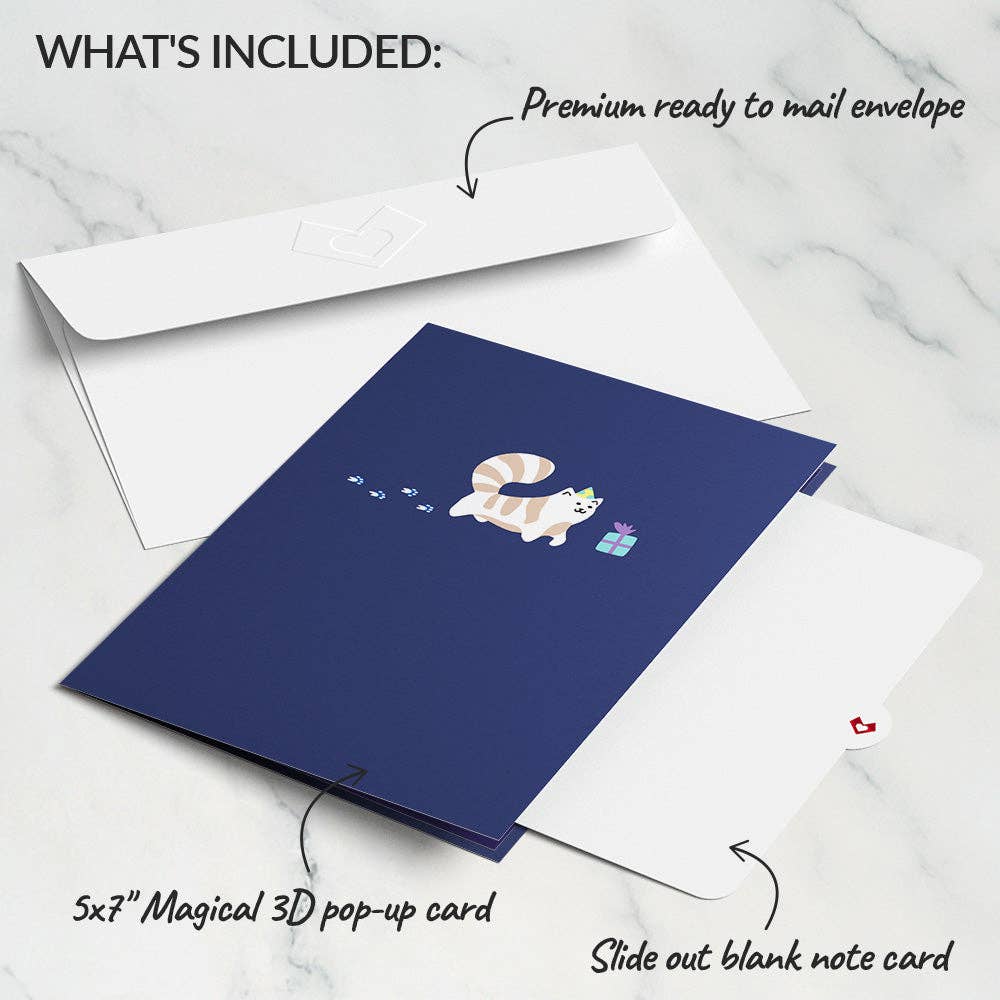 Playful Cats Birthday Pop-Up Card 5in x 7in