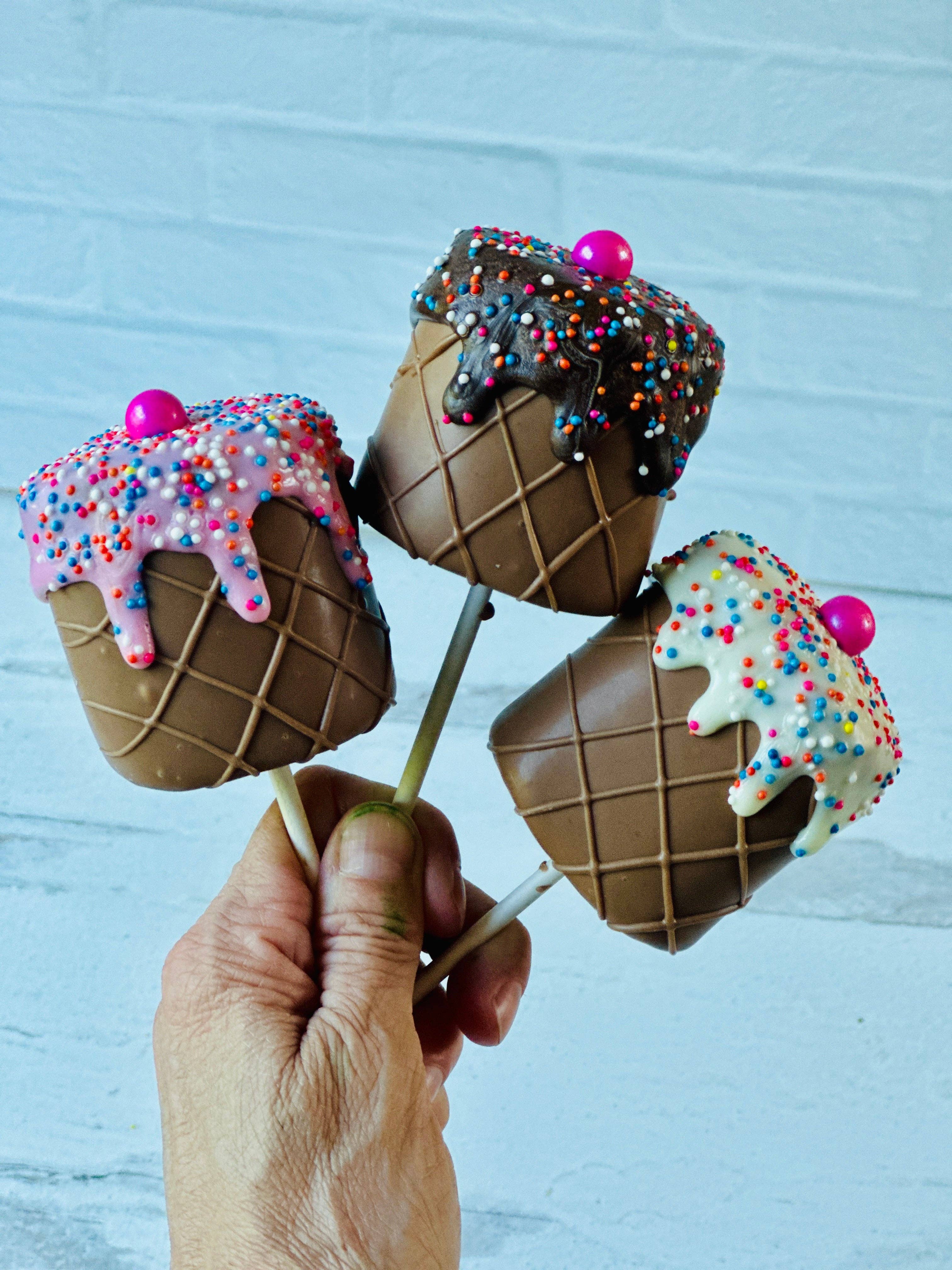 Jumbo Chocolate Dipped Marshmallow Ice Cream