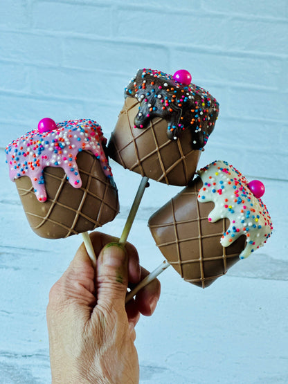 Jumbo Chocolate Dipped Marshmallow Ice Cream