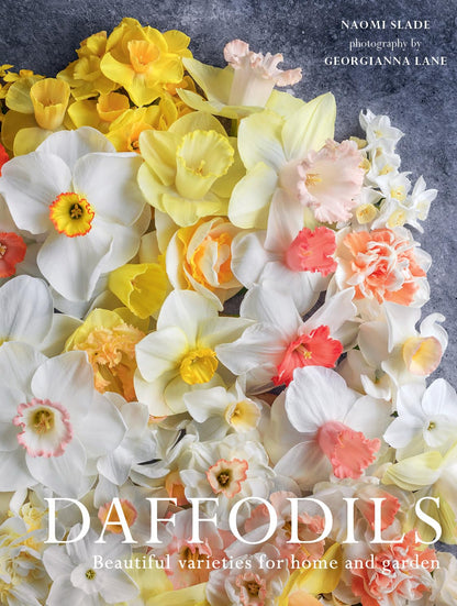 Daffodils: Beautiful Varieties for Home & Garden by Naomi Slade - Gibbs Smith